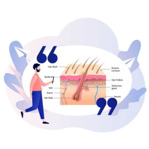 Unidad-folicular-definición